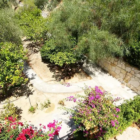 דירה The Nest פיסורי